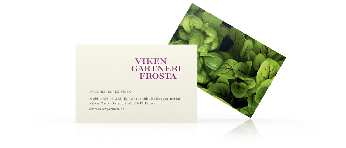 Viken Gartneri Frosta visittkort business card. Visuell identitet visual identity.