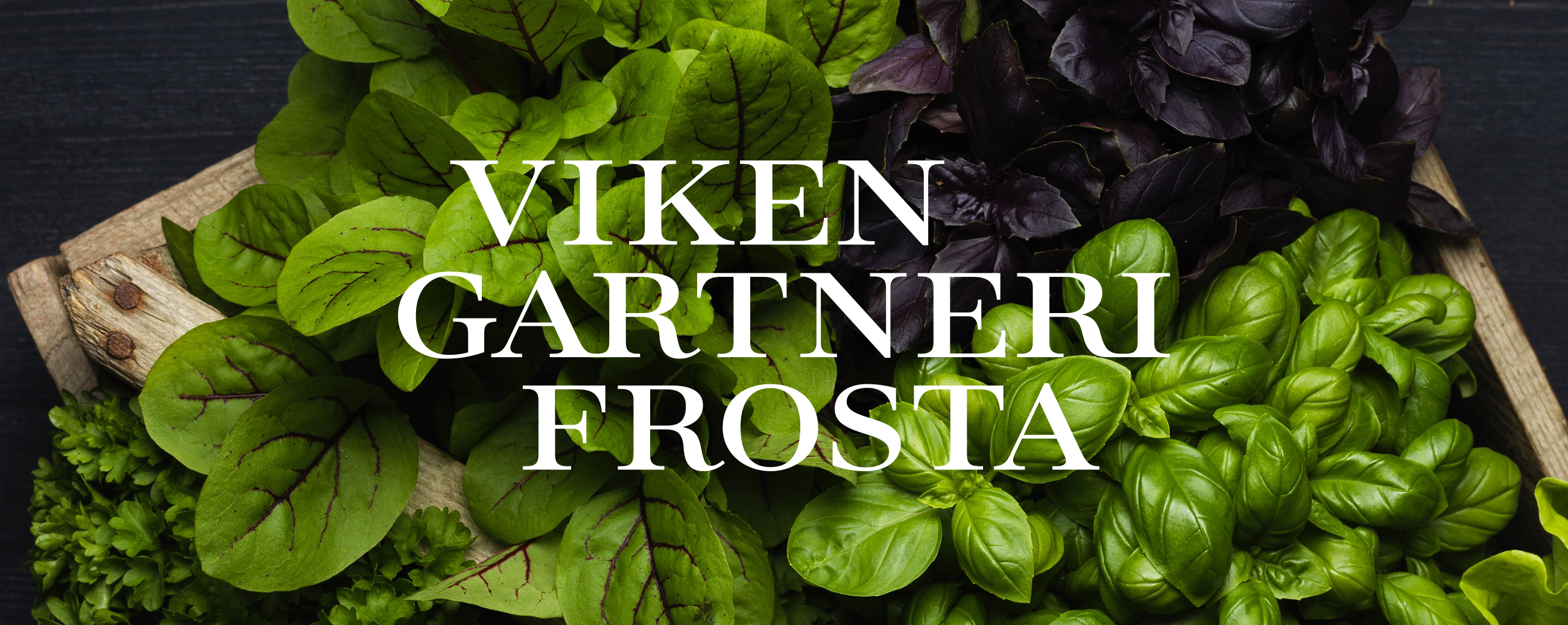 Viken Gartneri Frosta logo. Visuell identitet visual identity.