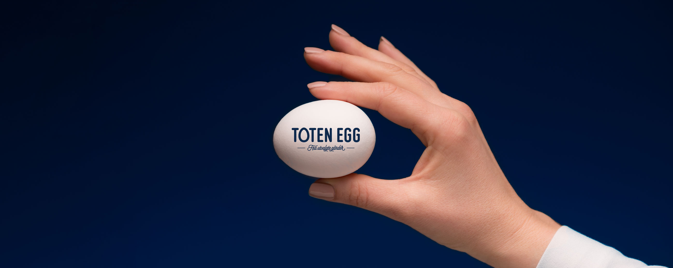 Toten egg logo på egg. Visuell identitet visual identity.
