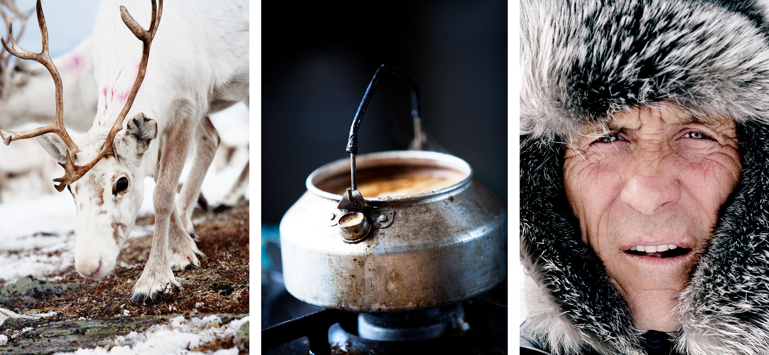 REIN Stemningsbilder fra vidda. Photos of reindeer, kettle and man.