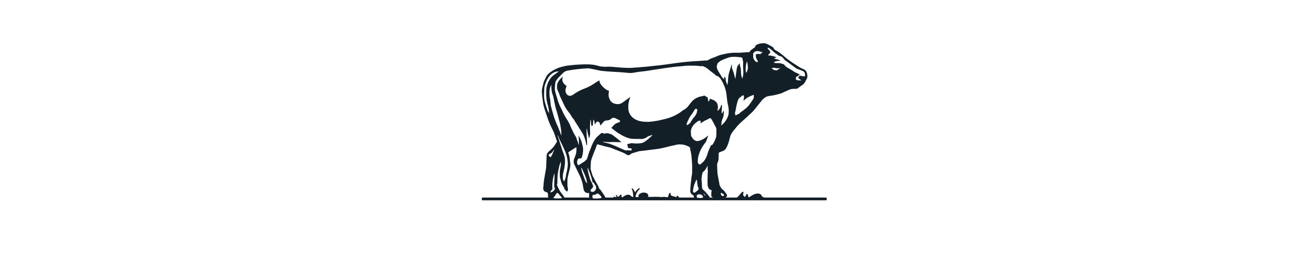 Salsus beef broth stock Kraft illustrasjon illustration