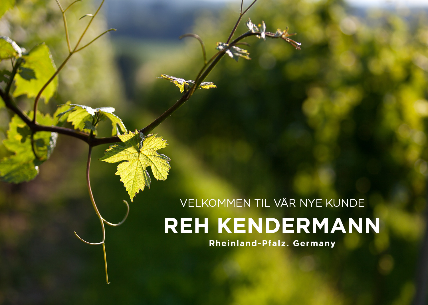 Skandinavisk tilnærming for Tysklands største eksportvin