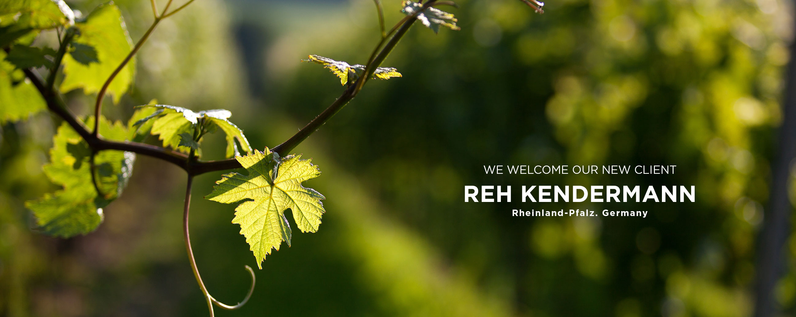 Skandinavisk tilnærming for Tysklands største eksportvin